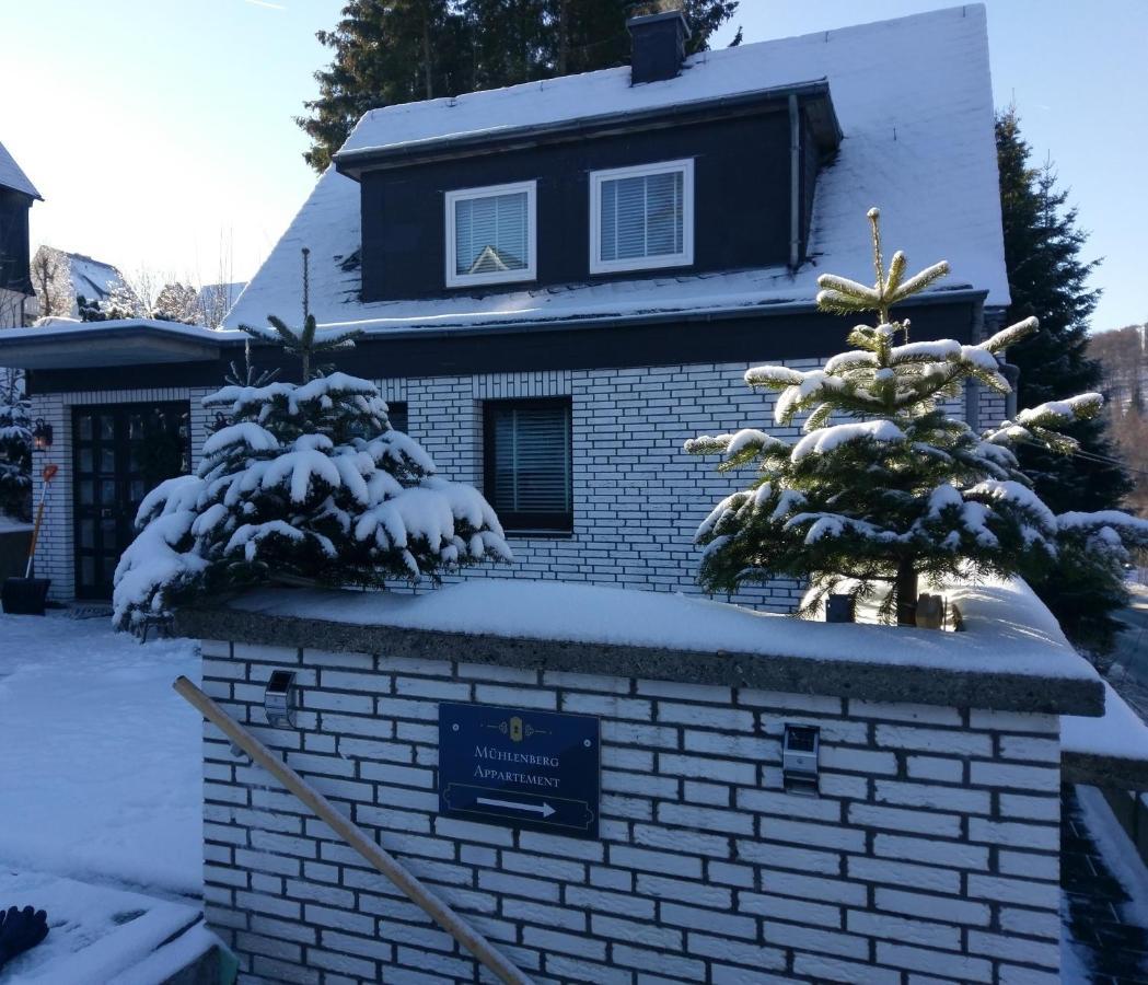 Apartment Muehlenberg Winterberg Exterior foto